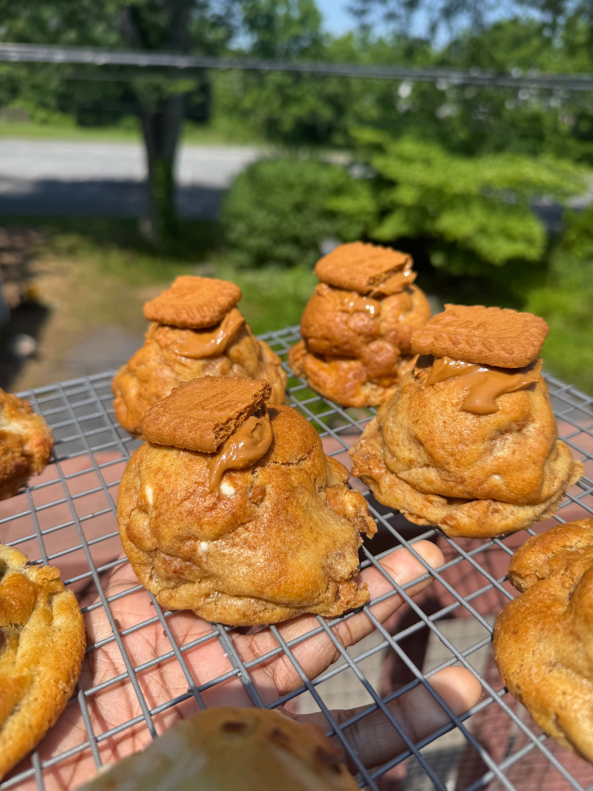Golden Swirl Cookie