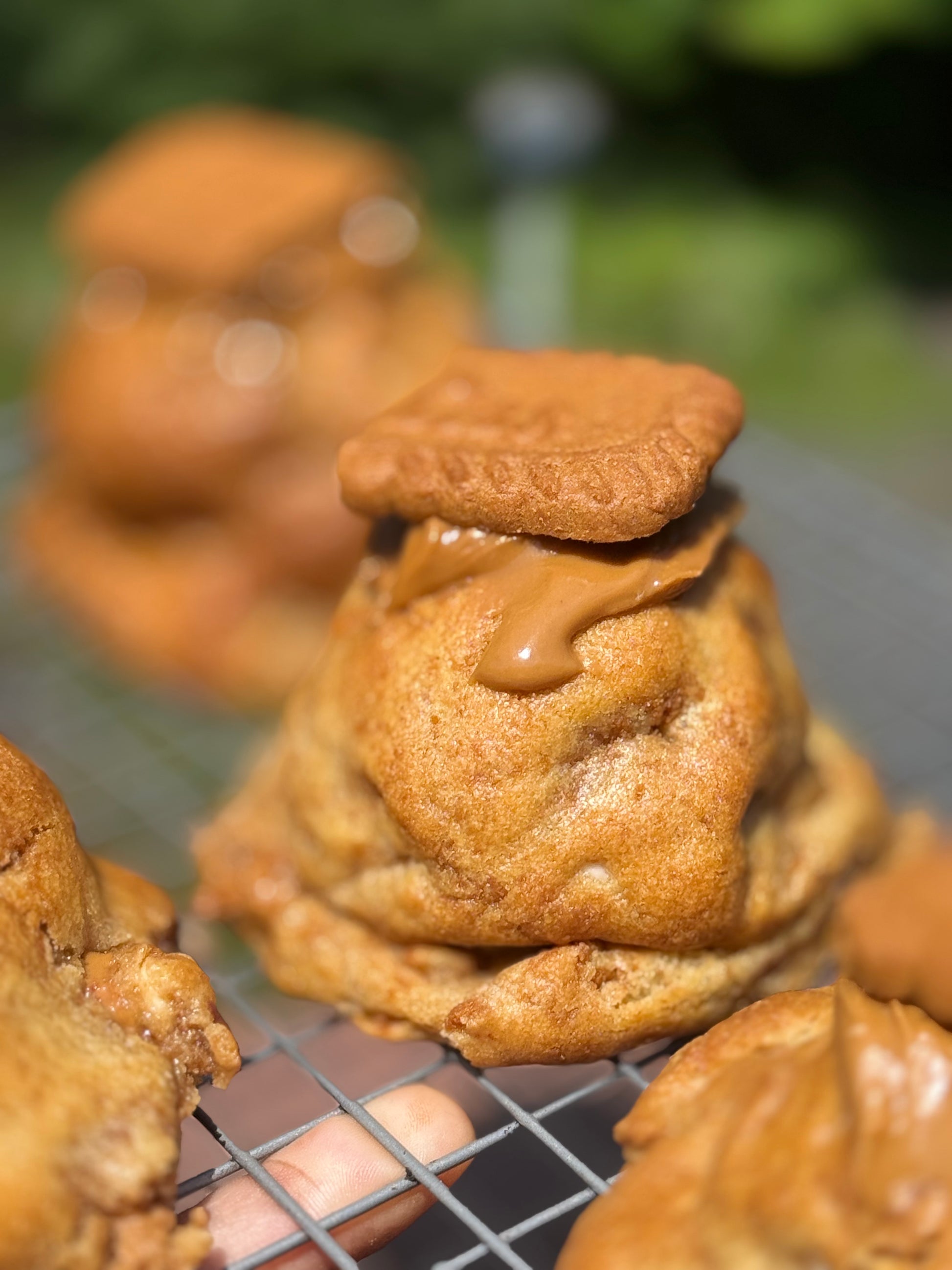 Golden Swirl Cookie
