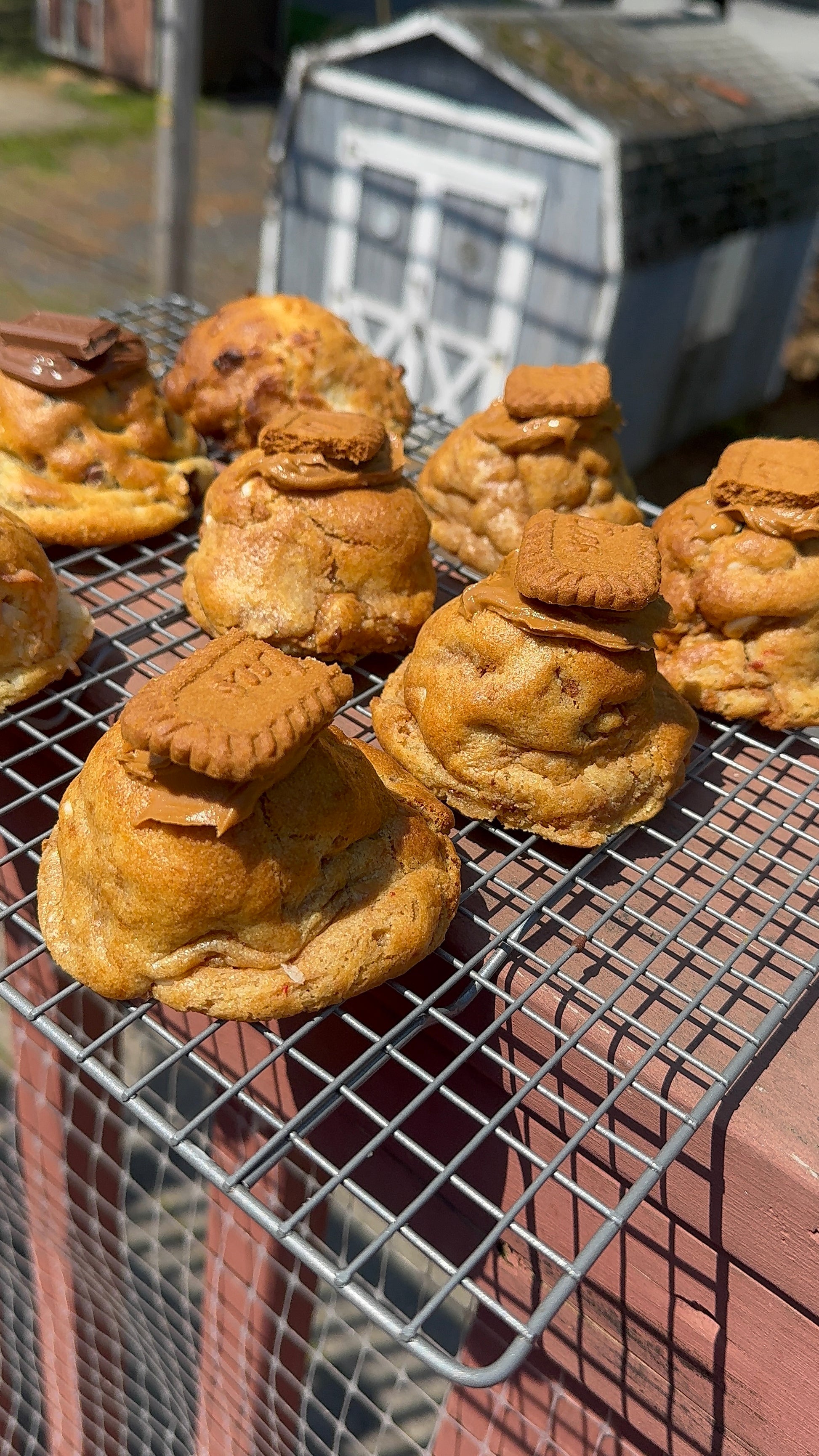 Golden Swirl Cookie